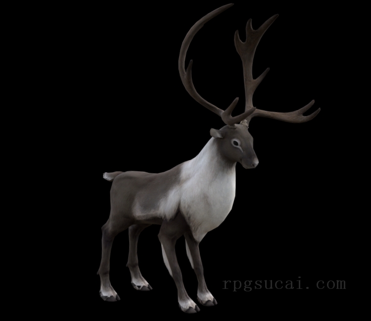 3D模型-动物3D模型-3D模型(3008)Final Fantasy XIV: A Realm Reborn - Starlight Steed
