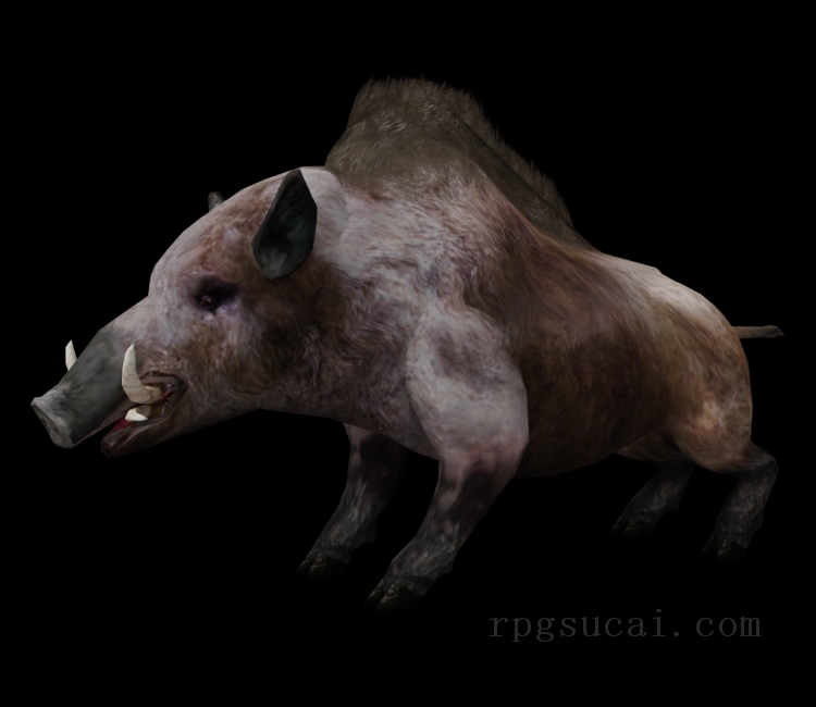 3D模型-怪物3D模型-3D模型(2603)The Elder Scrolls IV: Oblivion - Boar